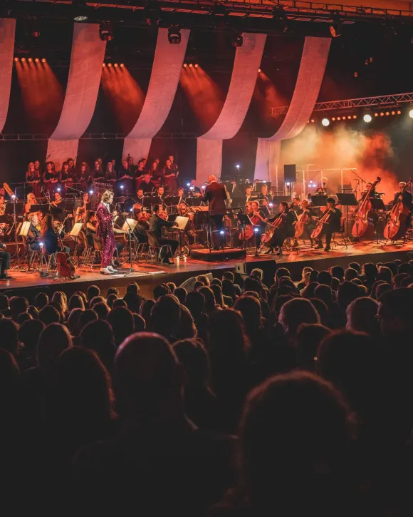 Koncert se symfonickým orchestrem